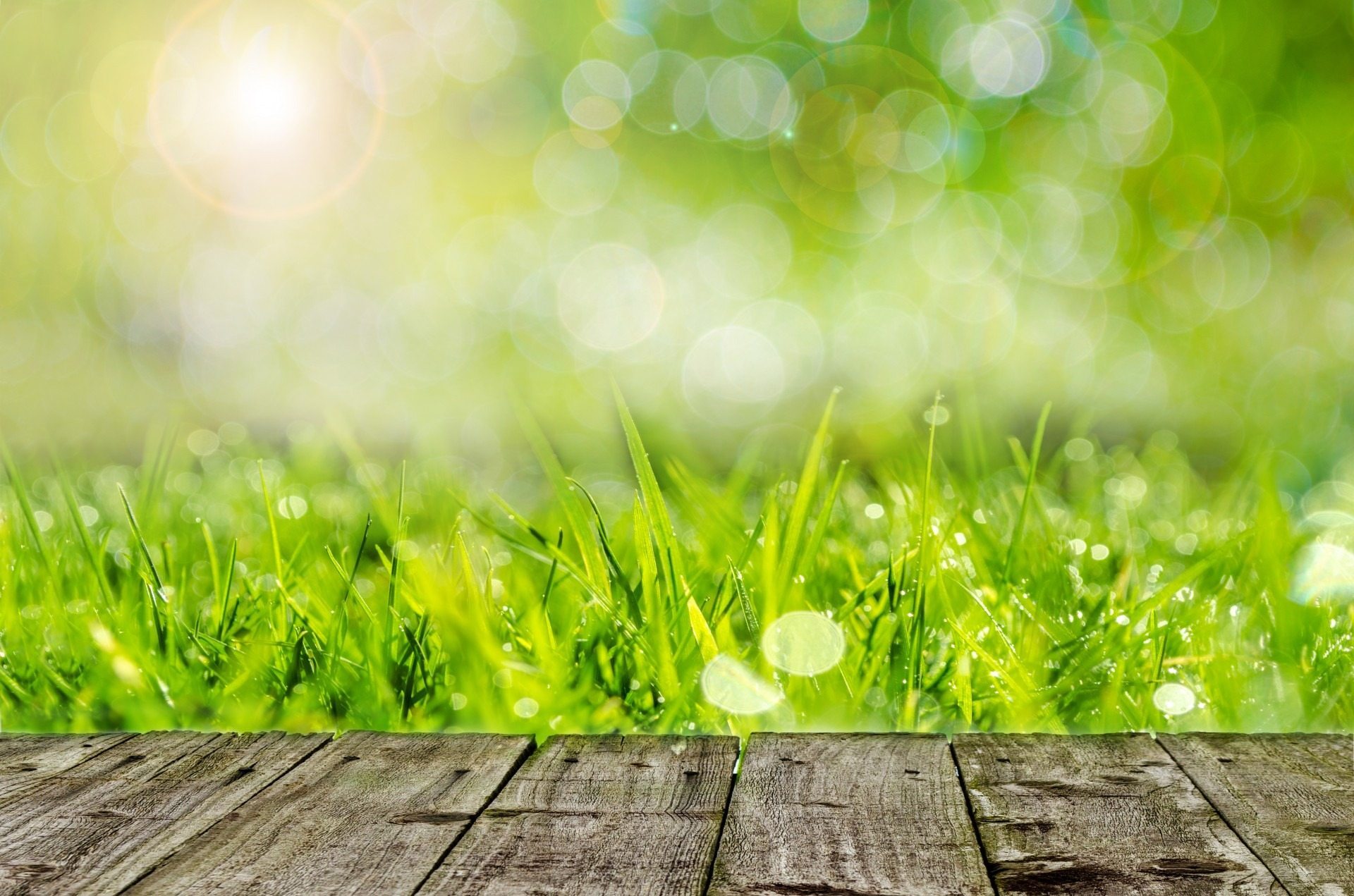 Grass Gratitude: Seven Reasons Why Our Grass Is Awesome