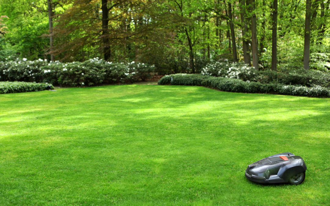 Automatic Lawn Mower Mowing Grass in a Garden