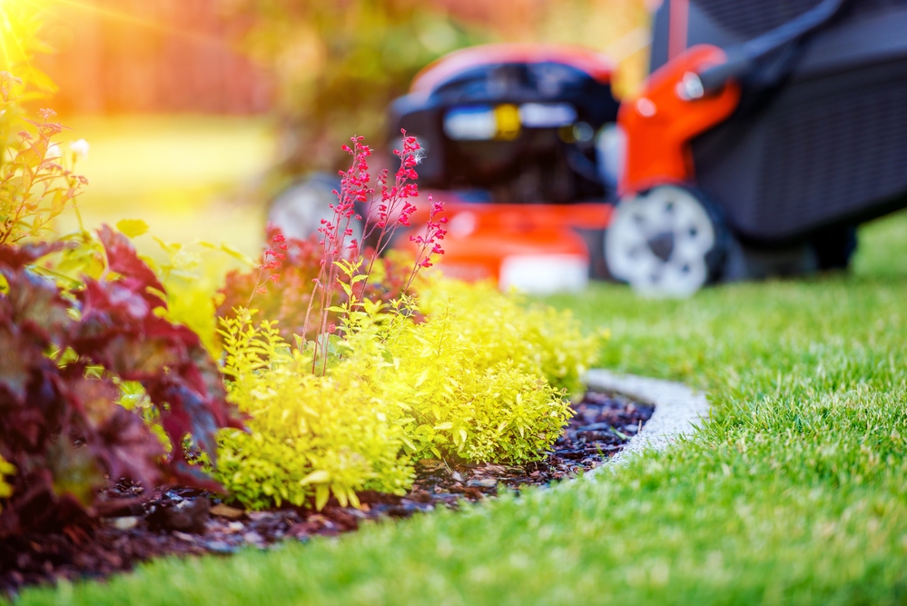 Tips to Ready the Yard for Fall Showings & Enjoyment