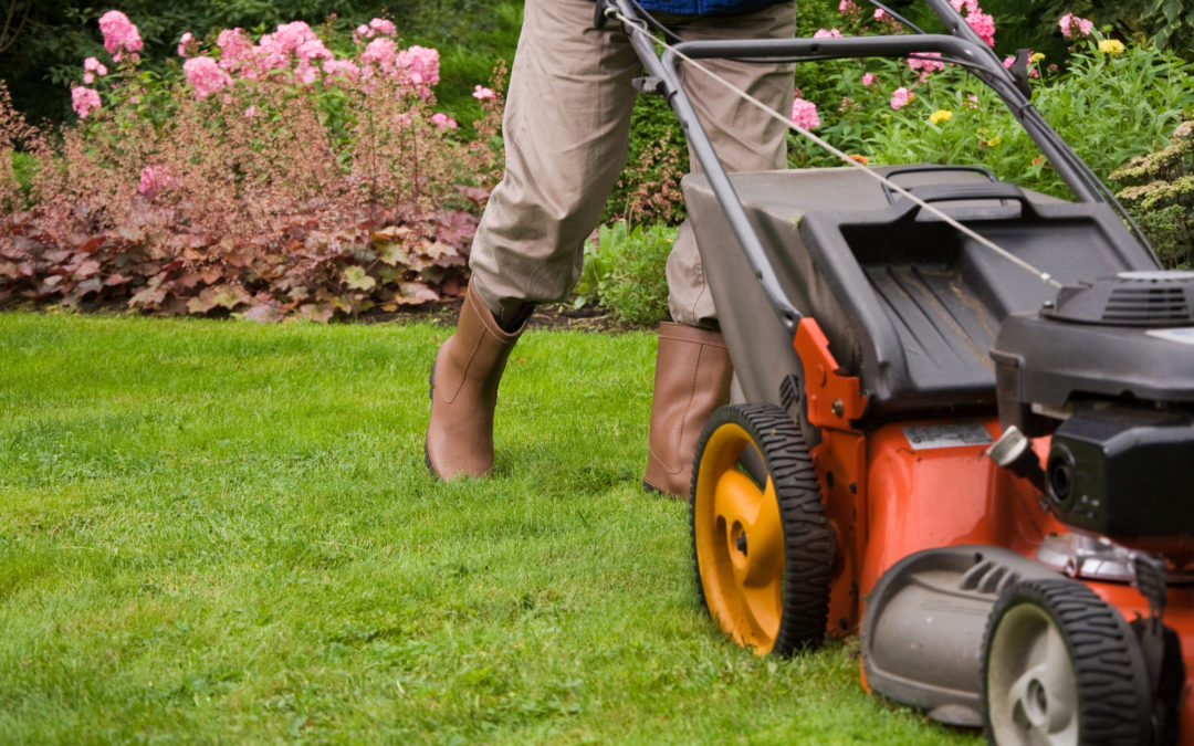 Person mowing a green lawn with flowers in the background