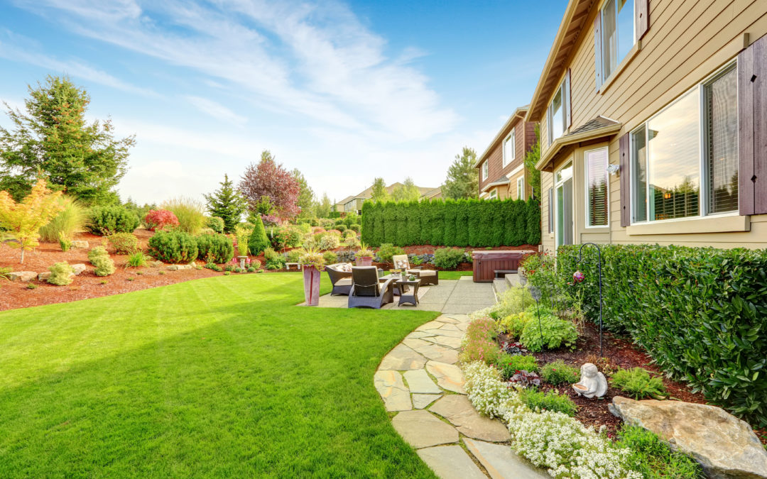 5 Lawn Care Tips for Brand-New Homeowners