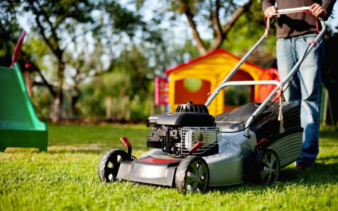 Care for Your Backyard Safely with These Lawncare Tips