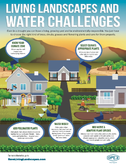 Living Landscapes and Water Challenges